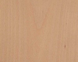 Hêtre Étuvé – Panneau Plaqué Naturel Effet Bois Foncé